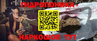 a pvp Кунгур
