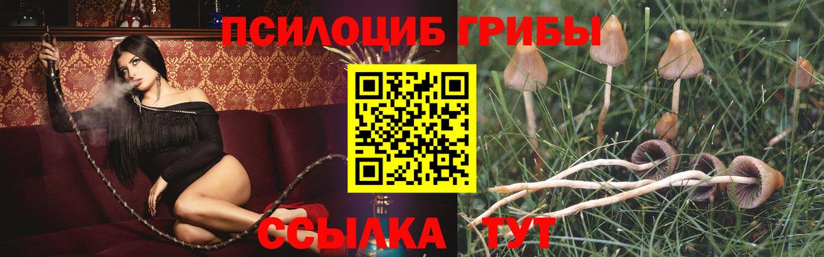 Псилоцибиновые грибы Psilocybine cubensis Дзержинский
